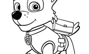 5 Paw Patrol ระบายสี