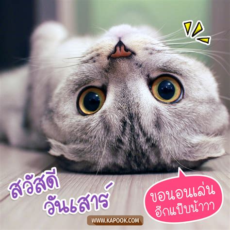 5 รูปภาพ สวัสดี ตอน เช้า วัน เสาร์