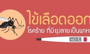 9 รูปภาพ ยุง ลาย