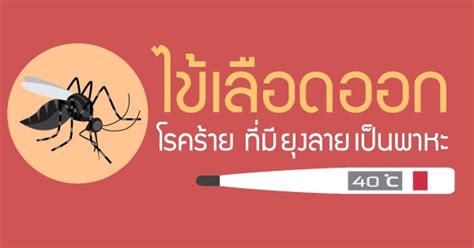 9 รูปภาพ ยุง ลาย