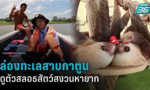 2 สัตว์กาตูน