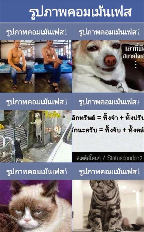 9 รูปภาพ คอม เม้น เฟส บุ๊ค