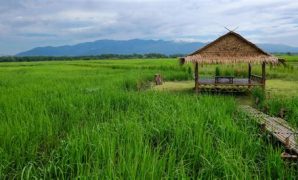 6 ธรรมชาติ ภาพ ทุ่ง นา บ้านนอก