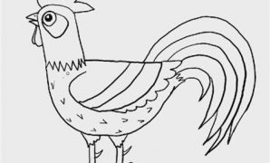 5 รูปวาดไก่