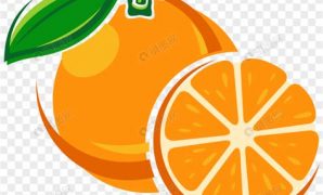 2 รูป วาด ส้ม