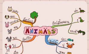 8 รูปภาพ Mind Map