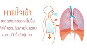 3 รูปภาพ ระบบ หายใจ