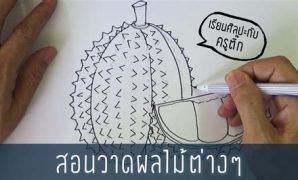 5 ภาพ แรเงา ผล ไม้ ต่างๆ