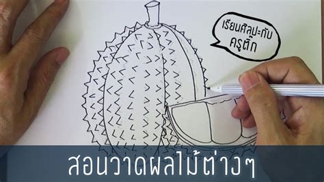 5 ภาพ แรเงา ผล ไม้ ต่างๆ