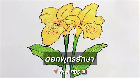 3 ดอก พุทธรักษา การ์ตูน