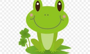 4 กบ น่า รัก
