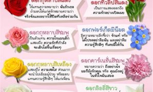 8 รูปภาพ แทน ความ รู้สึก