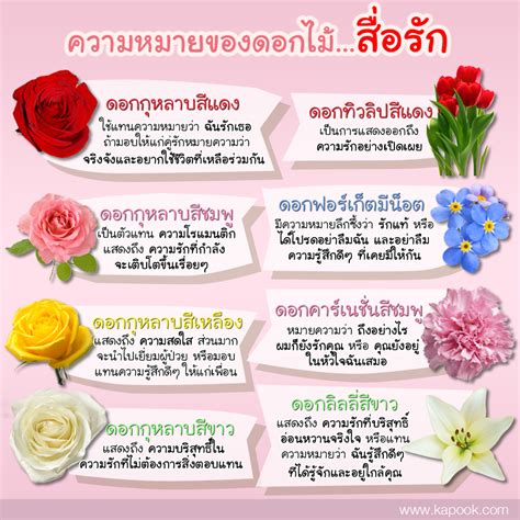 8 รูปภาพ แทน ความ รู้สึก