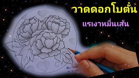 2 รูป เส้น