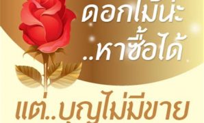 9 ภาพ สวยๆ วันวาเลนไทน์