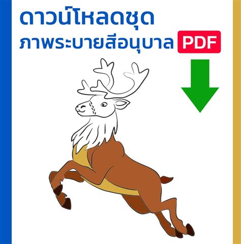 5 ภาพ ระบายสี Pdf